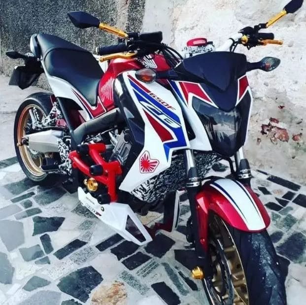 Protetor Stunt Race HONDA CB 650F 2015 a 2019