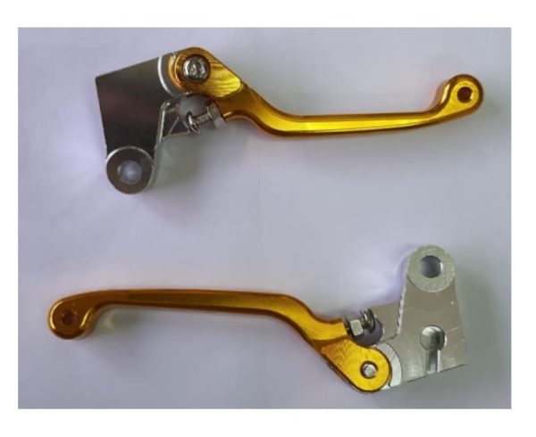 L11X-R12X - DOurado-