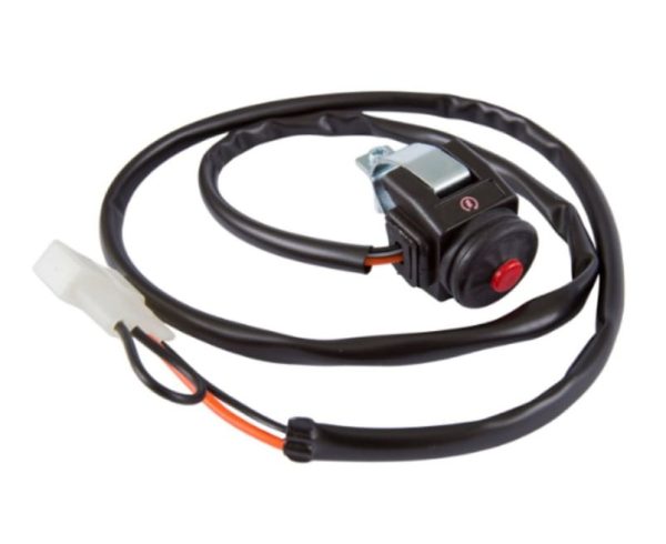 FUNDO BRANCO - - - -